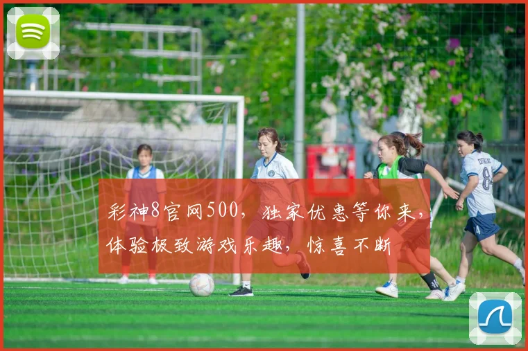 彩神8官网500，独家优惠等你来，体验极致游戏乐趣，惊喜不断