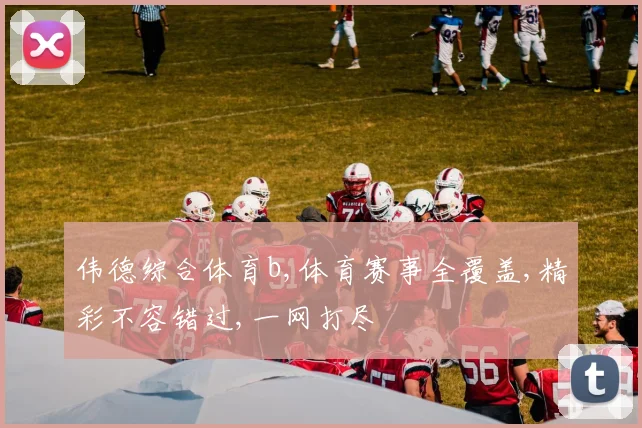 伟德综合体育b,体育赛事全覆盖,精彩不容错过,一网打尽