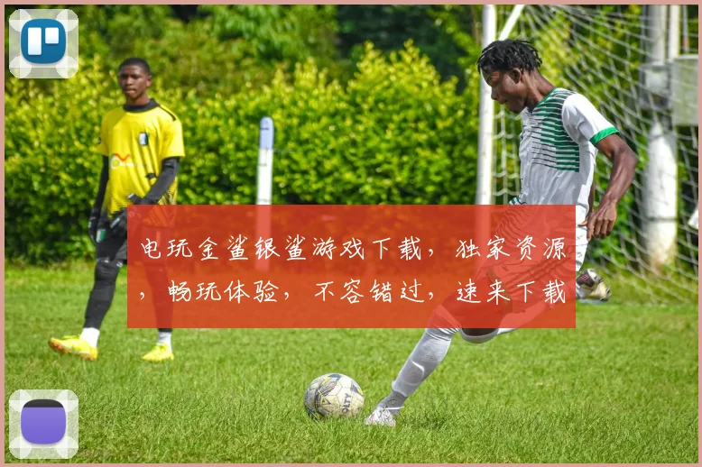 电玩金鲨银鲨游戏下载，独家资源，畅玩体验，不容错过，速来下载