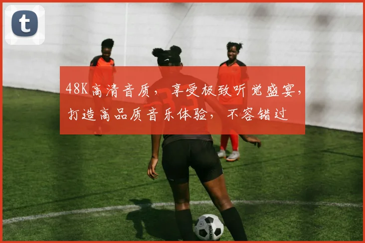 48K高清音质，享受极致听觉盛宴，打造高品质音乐体验，不容错过