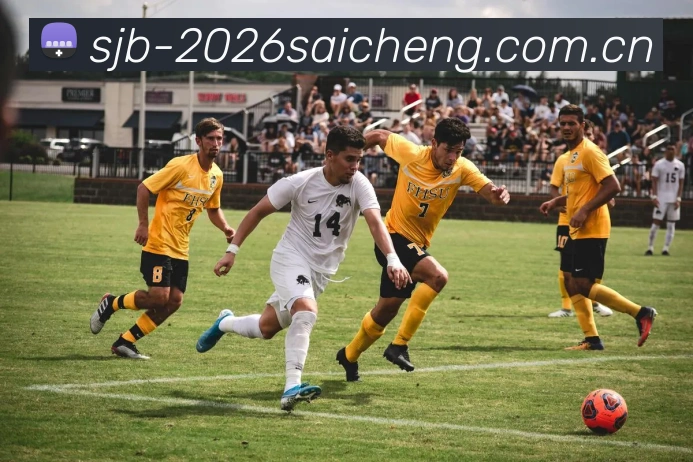 世界杯2026赛程平台生态图